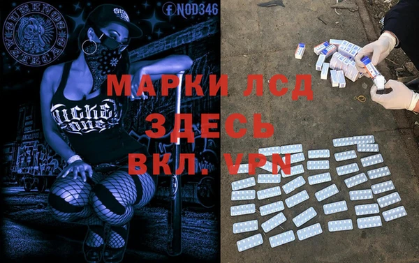 эйфоретик Белокуриха