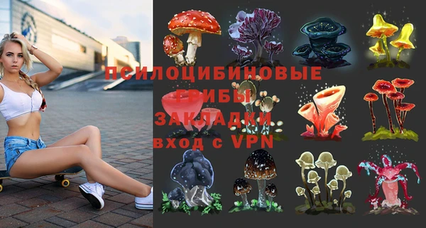 эйфоретик Белокуриха