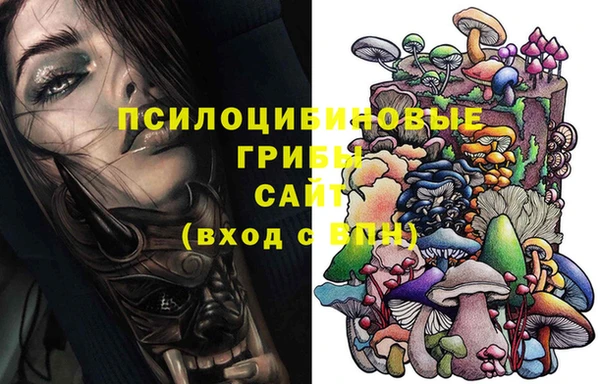эйфоретик Белокуриха