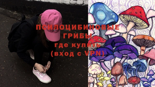 эйфоретик Белокуриха