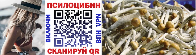 купить наркоту  Обь  маркетплейс Telegram  Псилоцибиновые грибы GOLDEN TEACHER 